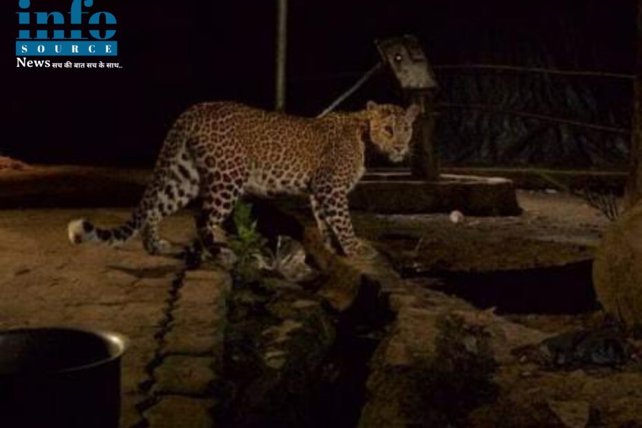 Nagpur: नागपुरवासियों को परेशान करने के लिए एक बार फिर leopard (तेंदुआ)आया है और इस बार यह Gorewada International Zoo (गोरेवाड़ा इंटरनेशनल जू)के पास रिहायशी इलाके में घुस आया है। info source news