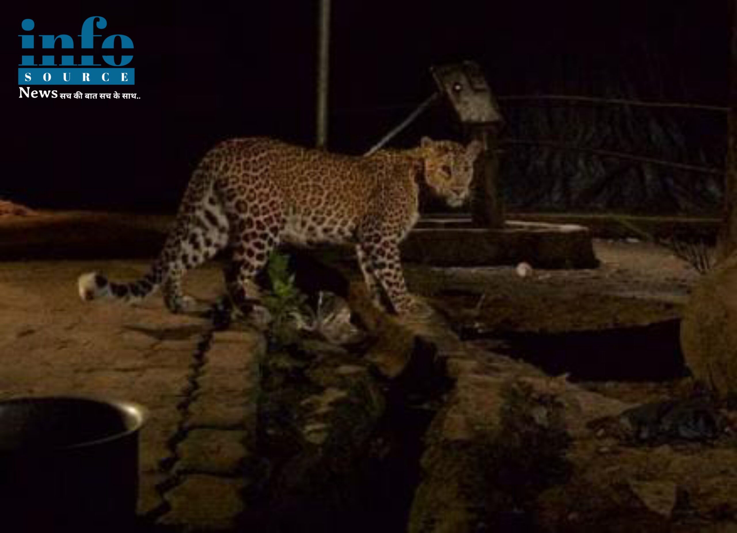 Nagpur: नागपुरवासियों को परेशान करने के लिए एक बार फिर leopard (तेंदुआ)आया है और इस बार यह Gorewada International Zoo (गोरेवाड़ा इंटरनेशनल जू)के पास रिहायशी इलाके में घुस आया है। info source news