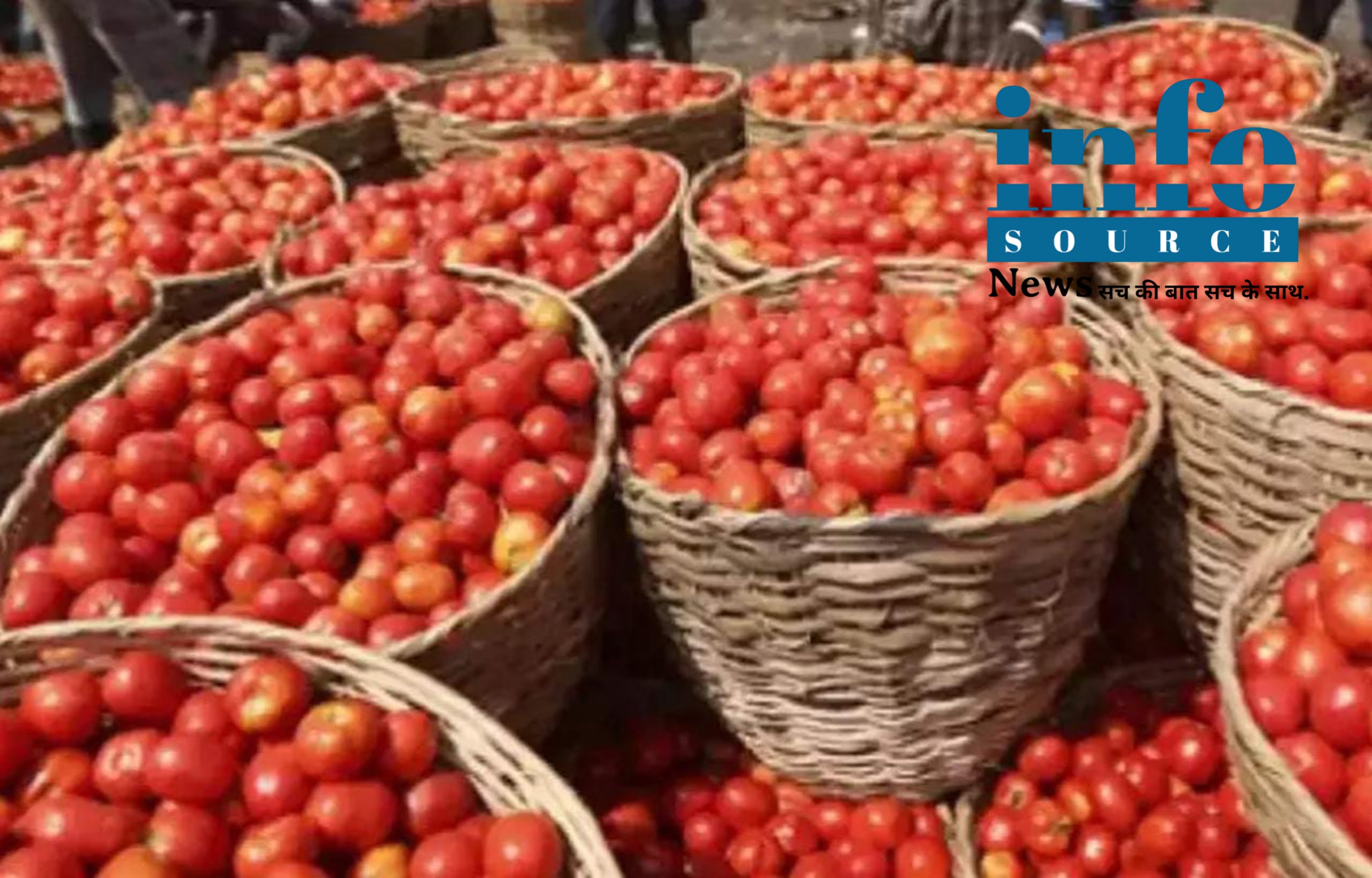 खबर है कि जल्द ही Tamatar के दामों में होगी गिरावट महंगे टमाटरों से परेशान लोगों को मिलेगी राहत info source news