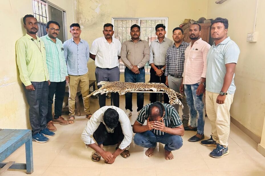 gondia leopard news