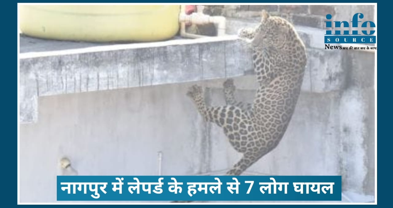Nagpur में Leopard के Attack से 7 लोग हुए घायल, तेंदुए की दहशत से लोग हुए परेशान फॉरेस्ट डिपार्टमेंट से बचाव की मांग