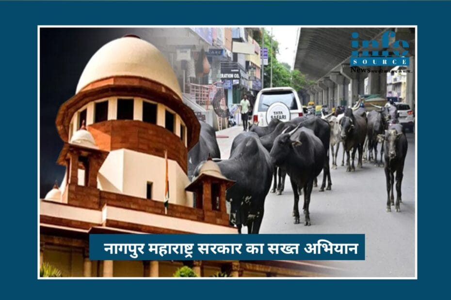 Nagpur latest news: Big Action Plan of Nagpur सरकार, आवारा जानवरों पर Maharashtra Government का सख़्त अभियान, Nagpur Highway सुरक्षा को लेकर बड़ा फैसला
