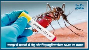 Nagpur में मच्छरों से alert: Dengue Chikungunya केस बढ़े, NMC पर सवाल