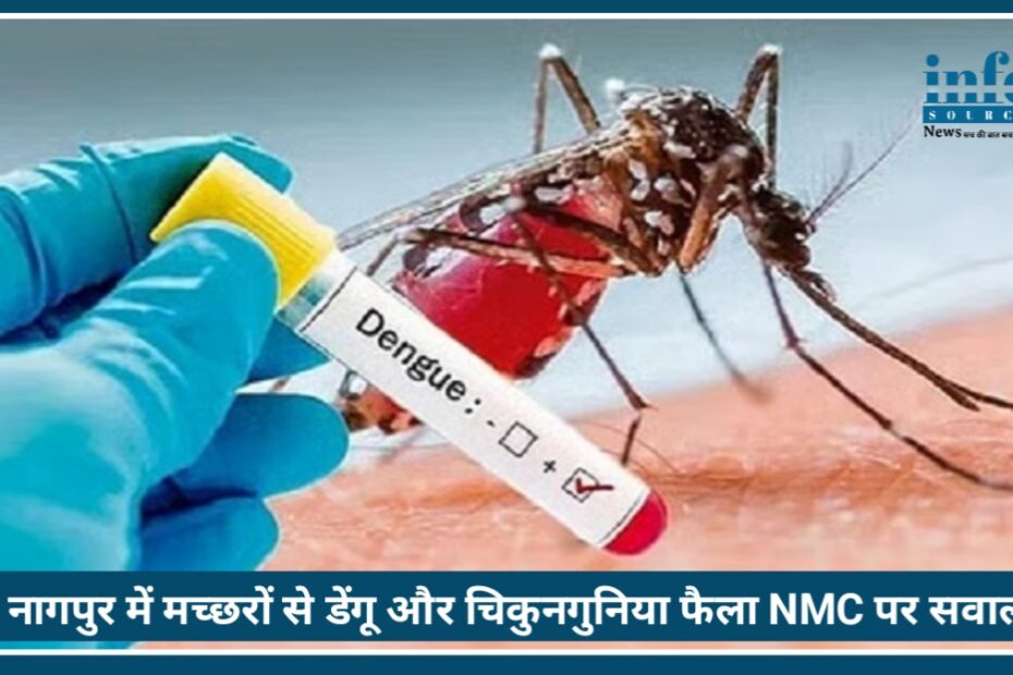 Nagpur में मच्छरों से alert: Dengue Chikungunya केस बढ़े, NMC पर सवाल