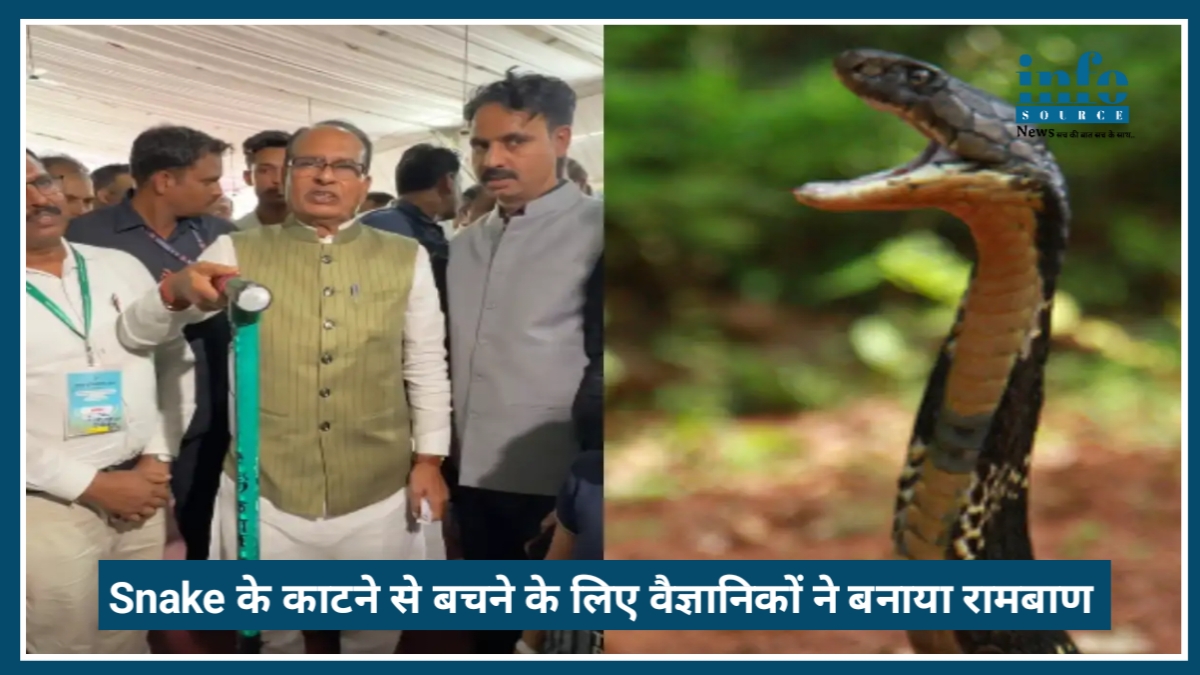 Snake Bite का Fear खत्म! वैज्ञानिकों ने बनाया यूनिवर्सल इलाज, Kisan mitra chhadi