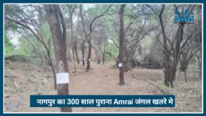Green Murder in Nagpur: नागपुर का 300 साल पुराना Amrai जंगल खतरे में, पेड़ कटाई का विरोध तेज