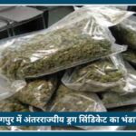 Nagpur में International Drug Syndicate का भंडाफोड़, 2.61 करोड़ का गांजा बरामद