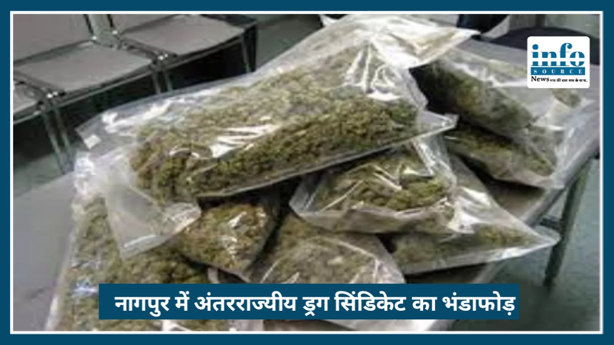 Nagpur में International Drug Syndicate का भंडाफोड़, 2.61 करोड़ का गांजा बरामद
