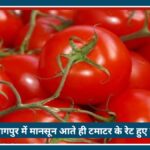 Nagpur में Tomato ने लगाई महंगाई की छलांग, 80 रुपये किलो, मानसून आते ही दाम हुए दोगुने