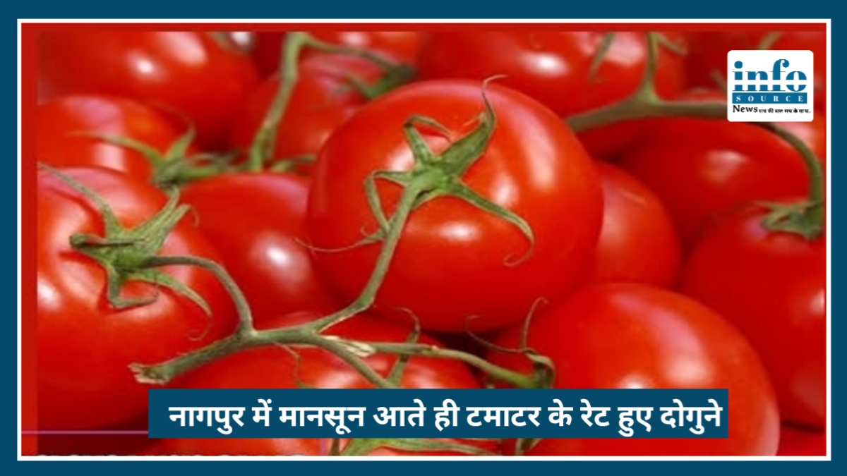 Nagpur में Tomato ने लगाई महंगाई की छलांग, 80 रुपये किलो, मानसून आते ही दाम हुए दोगुने